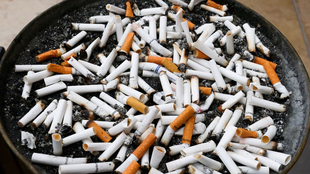 Cigarette butts